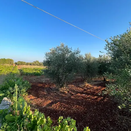 Villa Vallee D Itria *